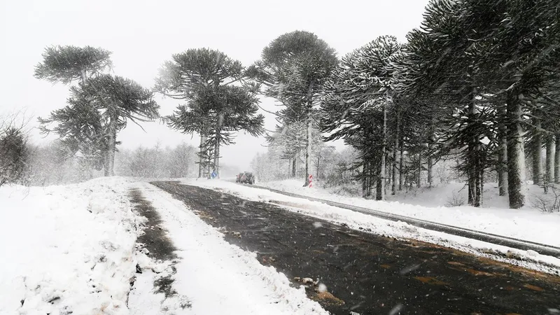 METEO Noi prognoze de la meteorologi. Vremea se schimbă. ANM a emis două alerte - Foto: Freepik. com (rol ilustrativ)