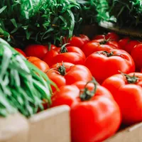 Se scumpesc alimentele din februarie. Prețurile sunt plafonate până pe 31 ianuarie la rafturi Foto: Pexels (fotografie cu caracter ilustrativ)