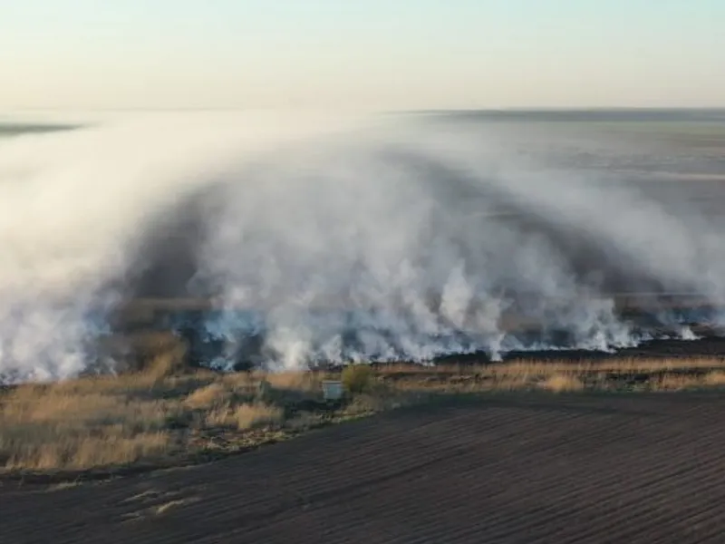 Terenul din Periș care arde și despre care se susține că ar fi sursa poluării.  Foto Garda de Mediu