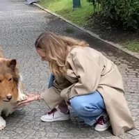Bărbatul transformat în câine Collie - Foto: Twitter