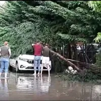 Capitala, inundată în câteva minute:  30 de copaci doborâţi şi 19 autoturisme avariate / Digi24