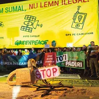 DIVERGENȚE  Greenpeace  România, WWF și Institutul  Național de  Cercetare și  Dezvoltare în Silvicultură „Marin Drăcea” au păreri diferite despre câtă pădure se taie - Foto: INQUAM PHOTOS/ Liviu Florin Albei
