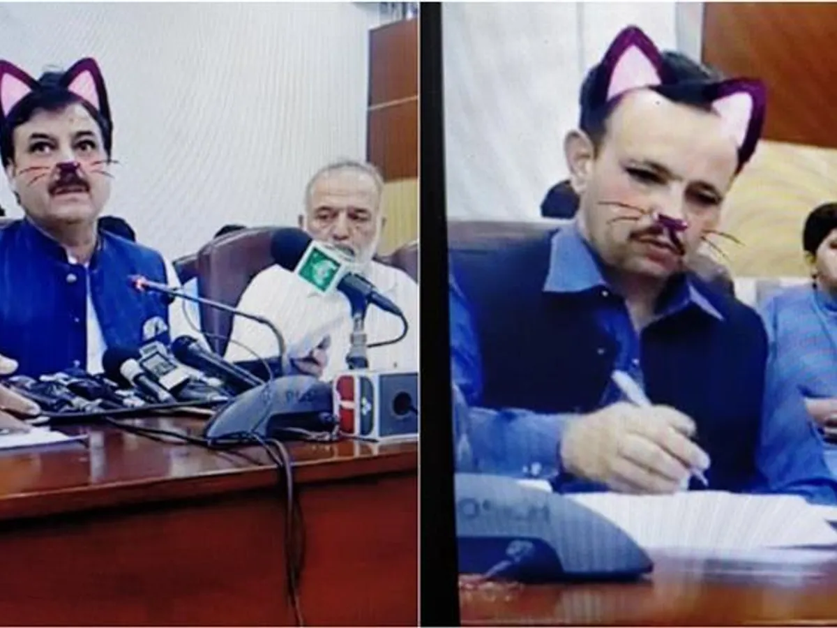 Internauții au comentat că există oficial o pisică în Guvern foto: