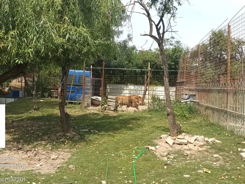 Doar în România! O grădină zoologică, cu lei, urși, maimuțe, funcționează ilegal - Foto: Facebook / Garda Naţională de Mediu