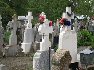 Cimitir Foto: Shutterstock