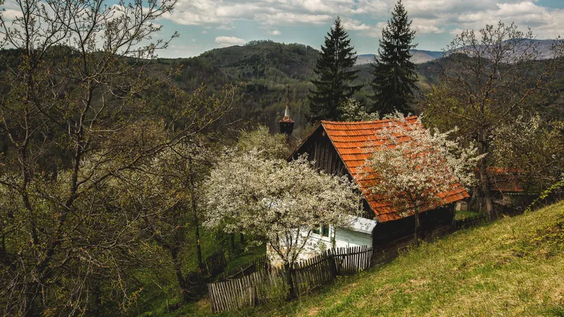 Apuseni, locul din România în Top 20 cele mai frumoase din lume - Foto: Profimedia Images