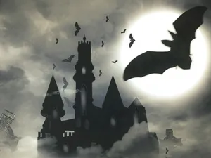Castelul din România unde liliecii-vampir i-ar ataca pe turiști. Dracula ar fi fost întemnițat aici - Foto: Profimedia Images/ Imagine cu caracter ilustrativ