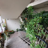 Amenzi de 400 lei pentru românii care stau la bloc și au ghivece cu flori . Ce NU au voie să facă? - Foto: Profimedia Images (imagine rol ilustrativ)