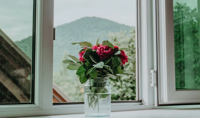 PErvaz Foto: Pexels (imagine cu rol ilustrativ)