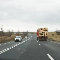 Actorii din Industria Lemnului afirmă că noul Cod Silvic conţine sancţiuni penale excesive - Foto: Inquam Photos / Tudor Costache
