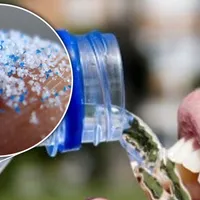 Efect al poluării: Microparticule de plastic, descoperite pentru prima dată în sângele uman. / Foto: scottamyx.com