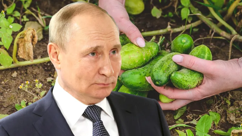 Putin sună o fetiță de 8 ani din Zaporojie, cerându-i să îi trimită castraveți de la țară - FOTO: Profimedia