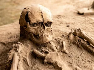 Craniul vechi de 300.000 de ani care schimbă toată istoria omenirii - Foto: Pexels (cu rol ilustrativ)