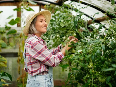 Este bine să construiești un solar în luna februarie? Pregătești solul și plantele pentru primăvară - Foto: Freepik (Imagine cu rol ilustrativ)