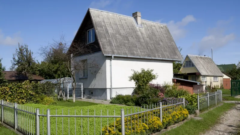 AMENDĂ de până la 1.500 lei pentru românii care stau la casă și au copaci în curte. Ce să facă? - Foto: Istock / imagine cu rol ilustrativ