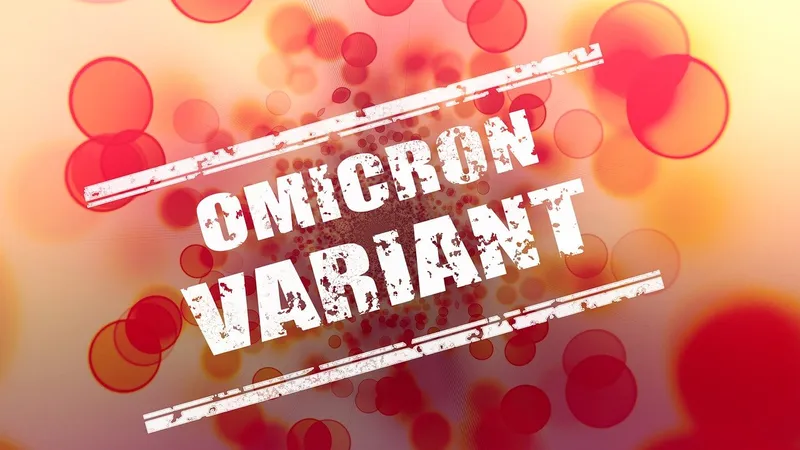 Avertisment OMS: interdicțiile de călătorie nu vor opri noua tulpină Omicron a Covid-19/FOTO: Pixabay