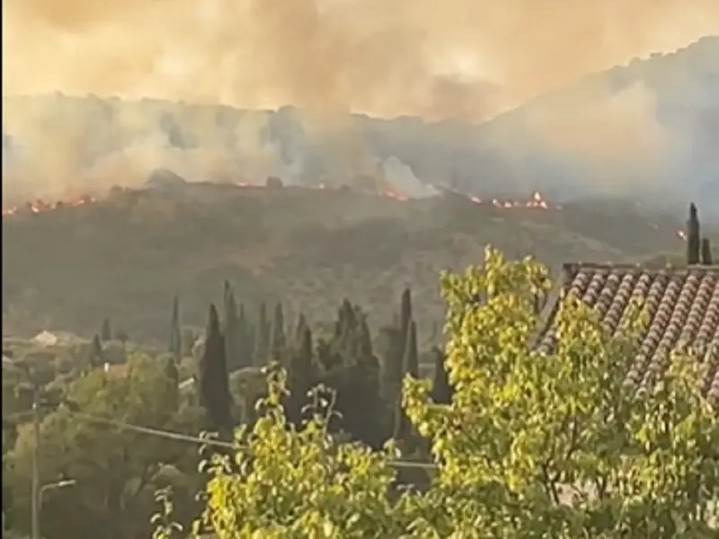 Incendii de vegetație în Corfu Foto: captură Twitter