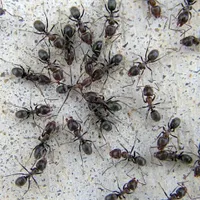 FOTO: edifica.ro