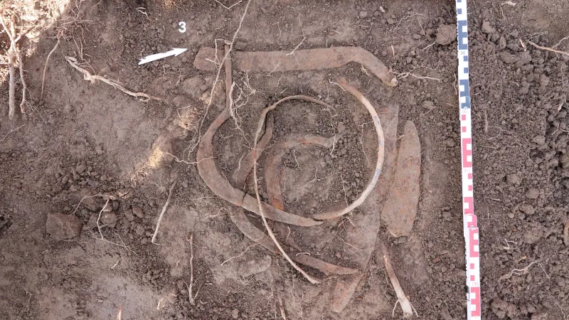 Depozite de arme și unelte agricole din perioada medievală, găsite de un profesor lângă Ploieşti - Foto: Facebook / Muzeul Judeţean de Istorie şi Arheologie Prahova