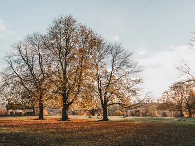 Toamnă Foto: Pexels (imagine cu rol ilustrativ)