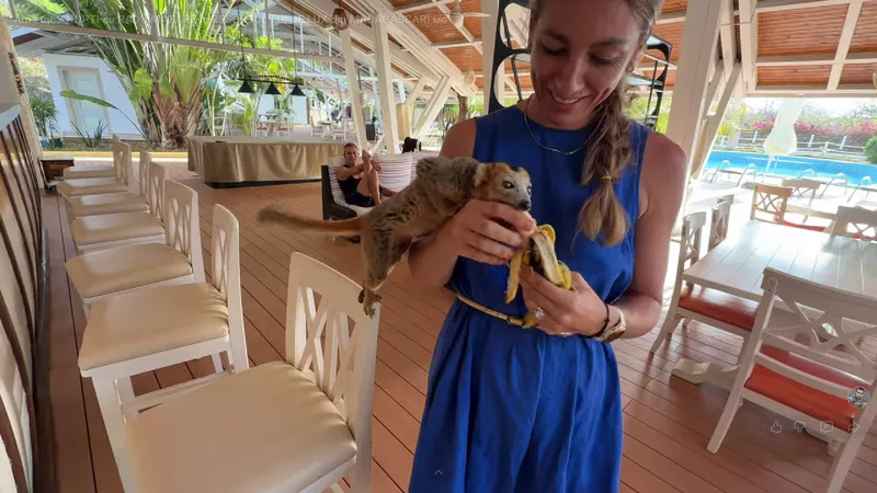 Resortul de lux al lui Radu Mazăre - Foto: Youtube/BackPackYourLife