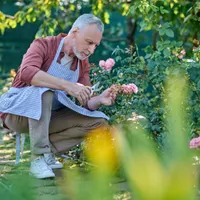 400 lei în plus la pensie din luna mai. Care pensionarii iau bani în plus săptămâna viitoare?  - Foto: Freepik