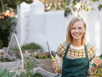Cum să îți cureți terenul cu planta numită și “argintul fermierilor”. Curăță solul de metale grele - Foto: Freepik (Imagine cu rol ilustrativ)