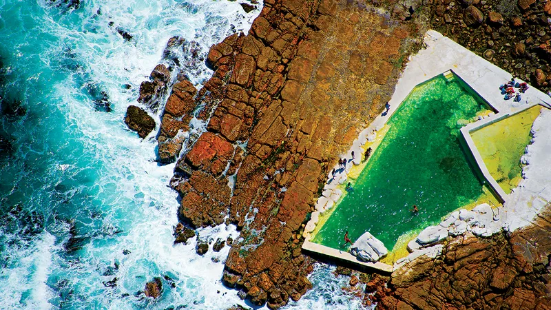 Baia Regelui, Cape Town, Africa de Sud