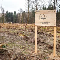 LEMN   Actuala companie HS Timber Group se ocupă des de acțiuni  de împădurire pentru a se distanța de imaginea negativă din trecut