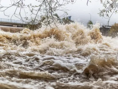 Viituri Foto: Getty Images