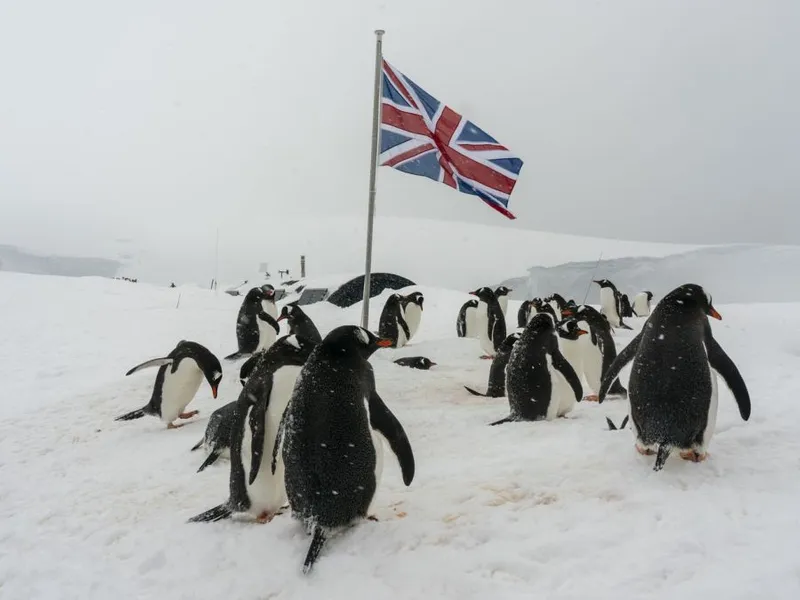 Pinguini Gentoo înconjoară un steag Union Jack al Marii Britanii, la Baza Port Lockroy, din Antarctica, pe Insula Wiencke - Foto: Profimedia Images