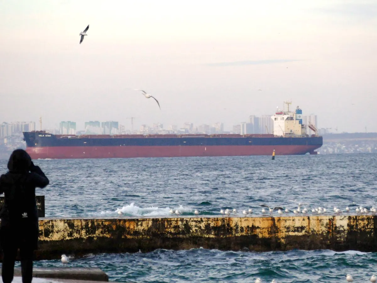 Coridorul cerealier al Ucrainei la Marea Neagră - Foto: Profimedia Images
