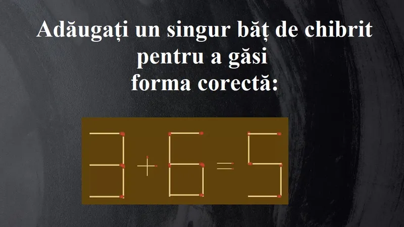Test de inteligență Foto: Newsweek
