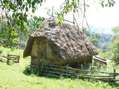 Bojdeucă din satul Răchiţaua, comuna Bătrâna, judeţul Hunedoara. Ca să intri-n casă, te urci cu scara - Foto: danieliancu.wordpress.com