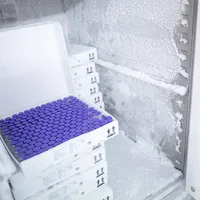 Vaccinul de la aPfizer se menține la -80 de grade. Foto Getty Images