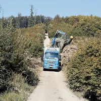 Stivele de lemne stau nepăzite în Austria