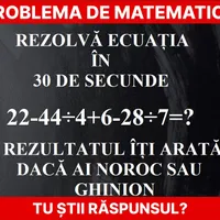 Problemă de matematică Foto: Newsweek