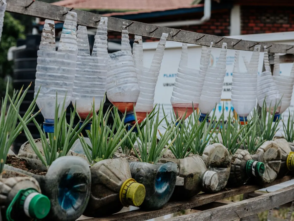 Sticle din plastic în grădină - Foto: Pexels (Imagine cu rol ilustrativ)