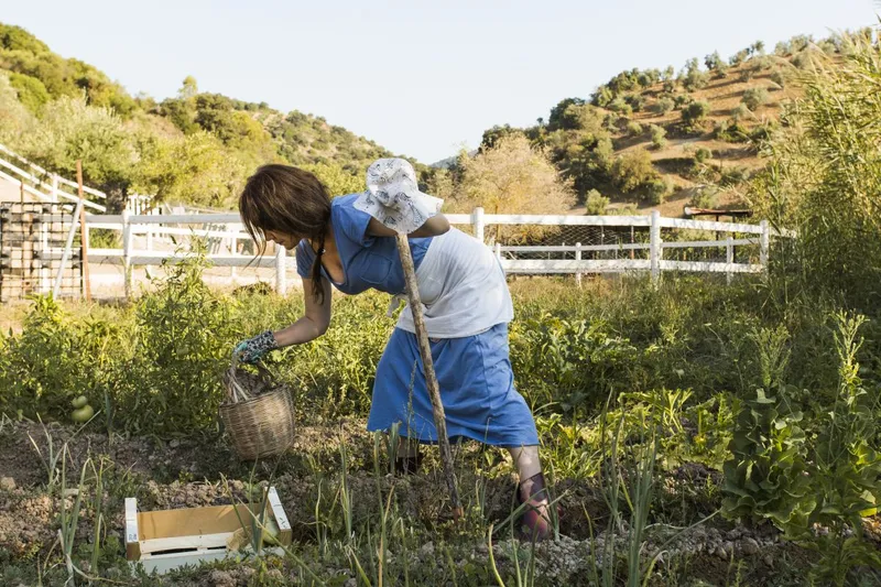 Femeie culeg&acirc;nd recolta &icirc;n Italia - Foto: Freepik/CC0