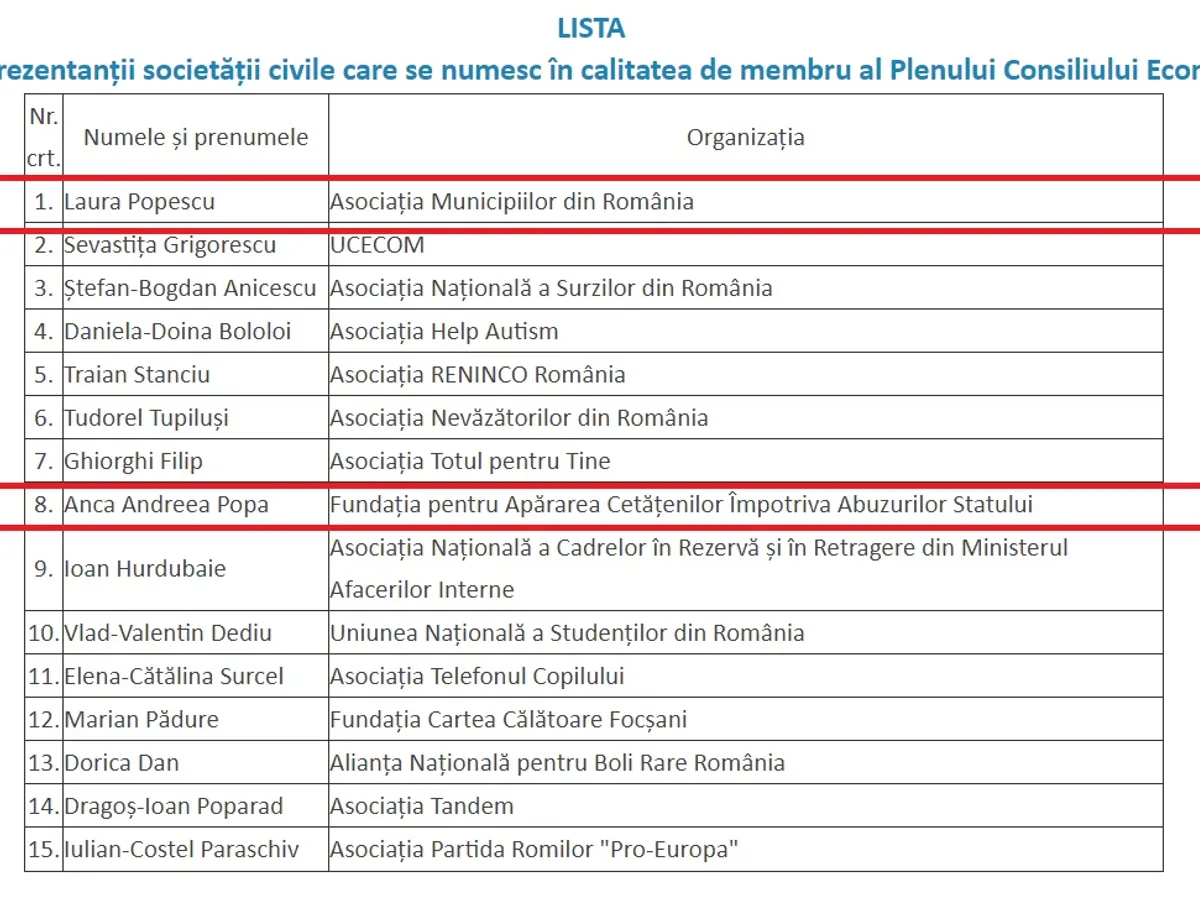 Lista ONG-urilor numite de Viorica Dăncilă în CES, în locul celor 13 date afară. Sursa: Ordinul 285/2018