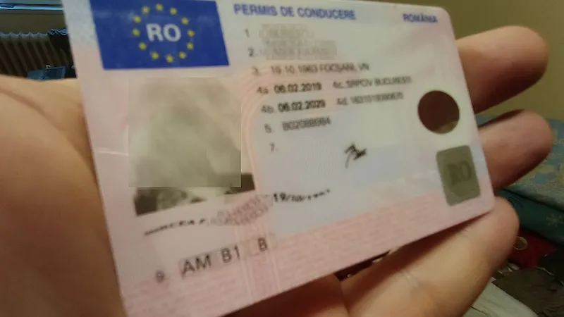900 de euro permisul fals de conducere - Foto: Florin Budescu