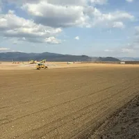 Se mișcă lucrurile pe un primu ciot de 14 km și 821.000.000 lei al Autostrăzii A8 dintre Sărățeni-Pipirig - Foto: captură video