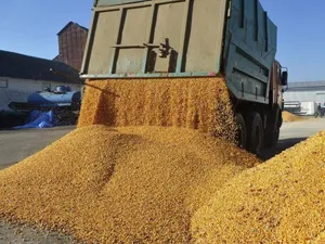 Peste 160 de tone de cereale ucrainene au fost distruse într-o gară poloneză în urma protestelor - Foto: Agrostiinta / imagine cu rol ilustrativ