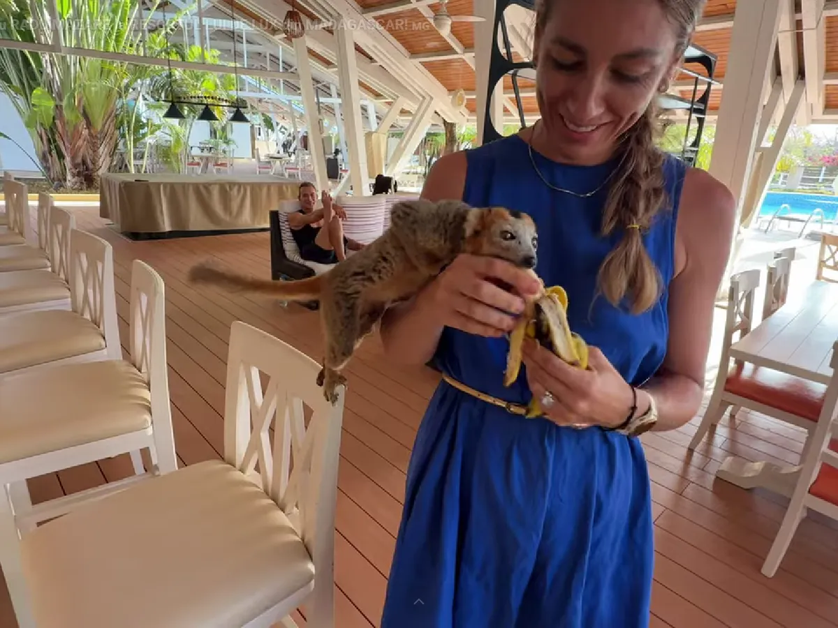 Resortul de lux al lui Radu Mazăre - Foto: Youtube/BackPackYourLife