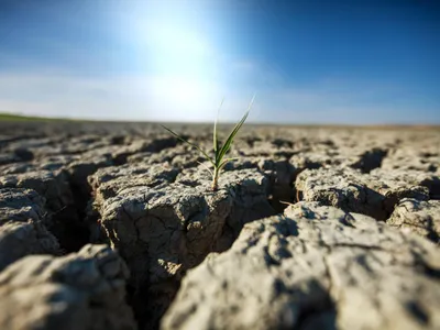 Secetă Foto: Freepik (imagine cu rol ilsutrativ)