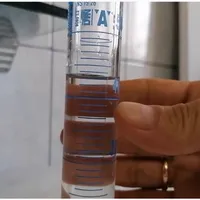 Experiment al Profesoarei Daniela-Elena Dumitru