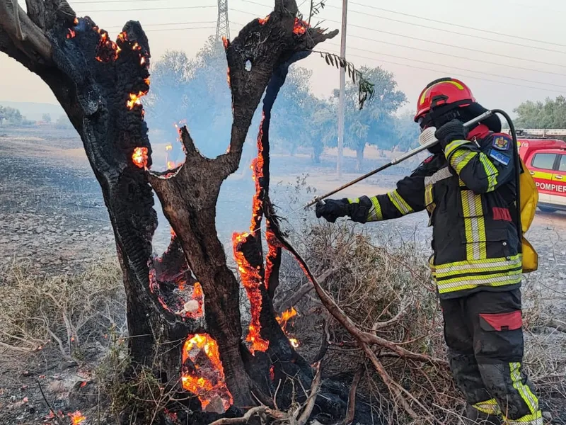 Incendiu în Grecia. Pompierii români, trimiși la intervenție - Foto: IGSU