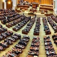 Senatorii și-au desemnat liderii. FOTO: Facebook