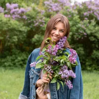 Liliac - Foto: freepik (rol ilustrativ)