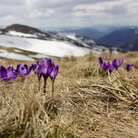 Weekend cu temperaturi de primăvară în toată țara/FOTO: yogascapes.com